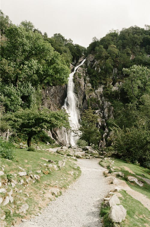Trail Leading to Waterfall on Mountain