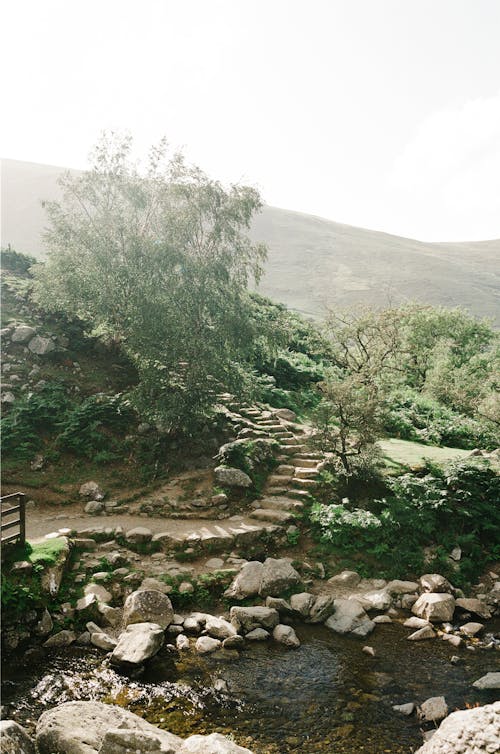 Stairs behind Stream