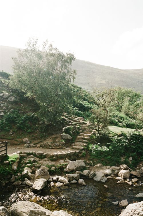 Free Tranquil landscape featuring a rocky footpath, stone steps, and a tree-lined stream. Stock Photo