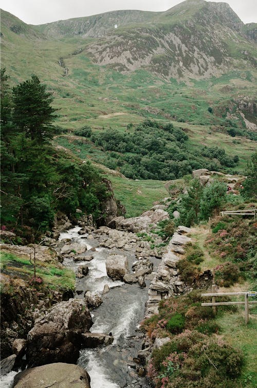 View of a Stream Flowing in a Mountain Valley 