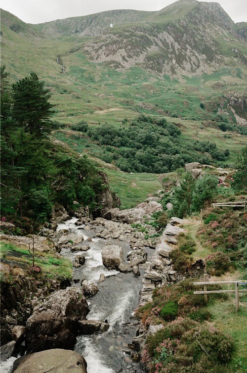 Foto profissional grátis de árvores, cadeia de montanhas, cênico