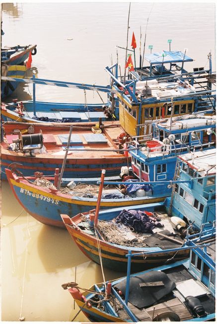 Traditional Vietnamese fishing boats docked in a vibrant harbor, showcasing nautical life.