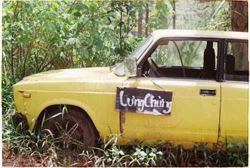 Základová fotografie zdarma na téma les, opuštěné auto, porouchaný