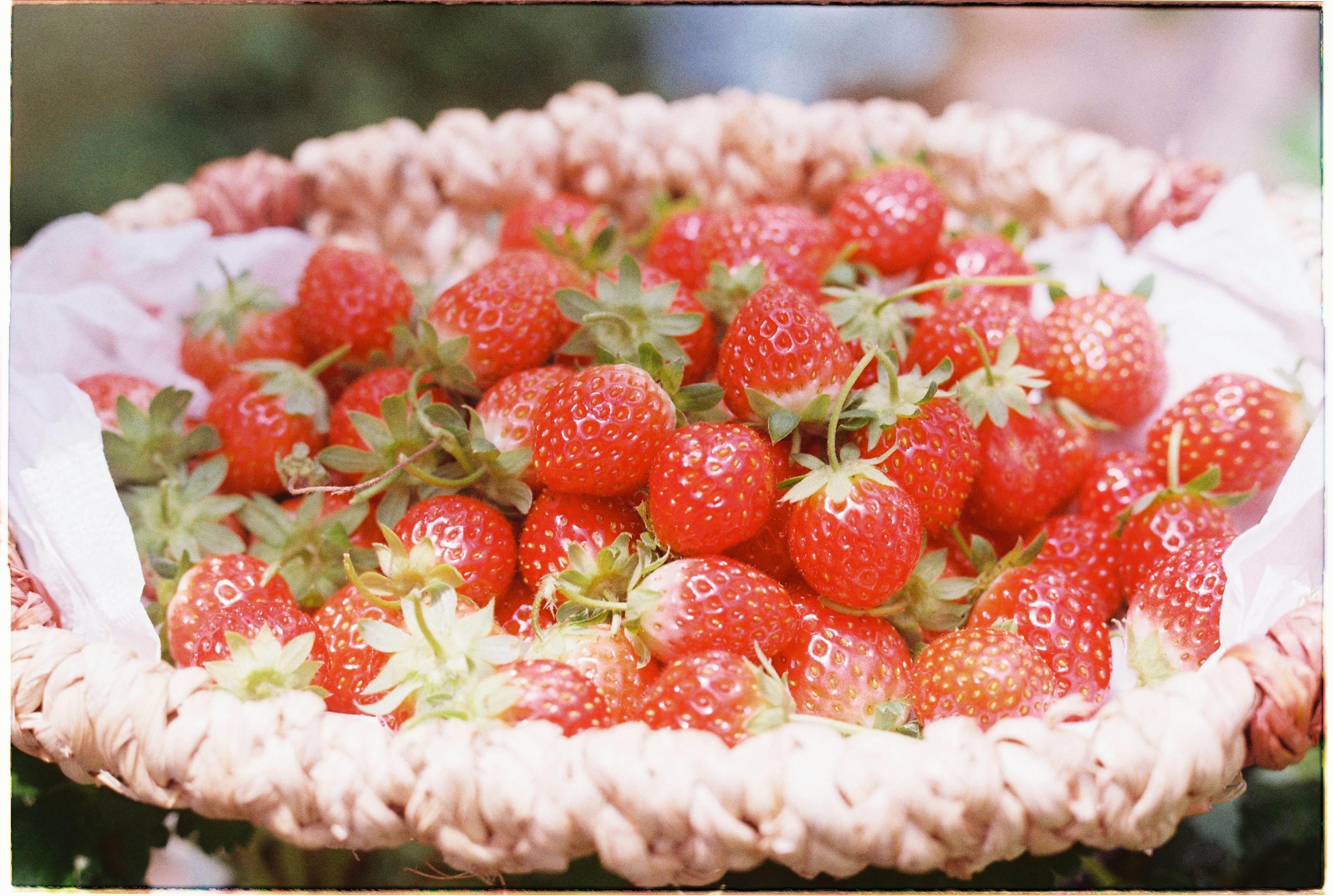 Close-up of juicy strawberries in a wicker basket, showcasing freshness and vibrancy.