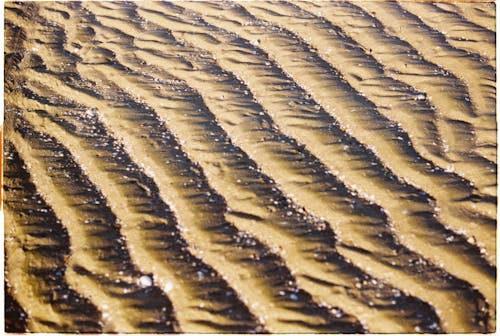 Close-up of Sand Ripples on a Beach 