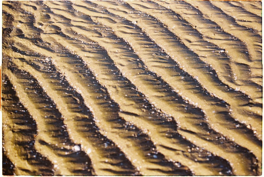 Sand Rippples Close-up of Sand Ripples on a Beach · Free Stock Photo