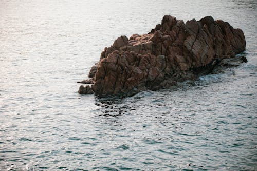 바다, 암반층, 울퉁불퉁 한의 무료 스톡 사진