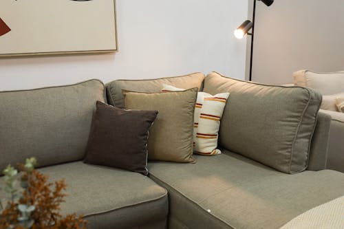 A Sofa with Pillows in a Modern Room 