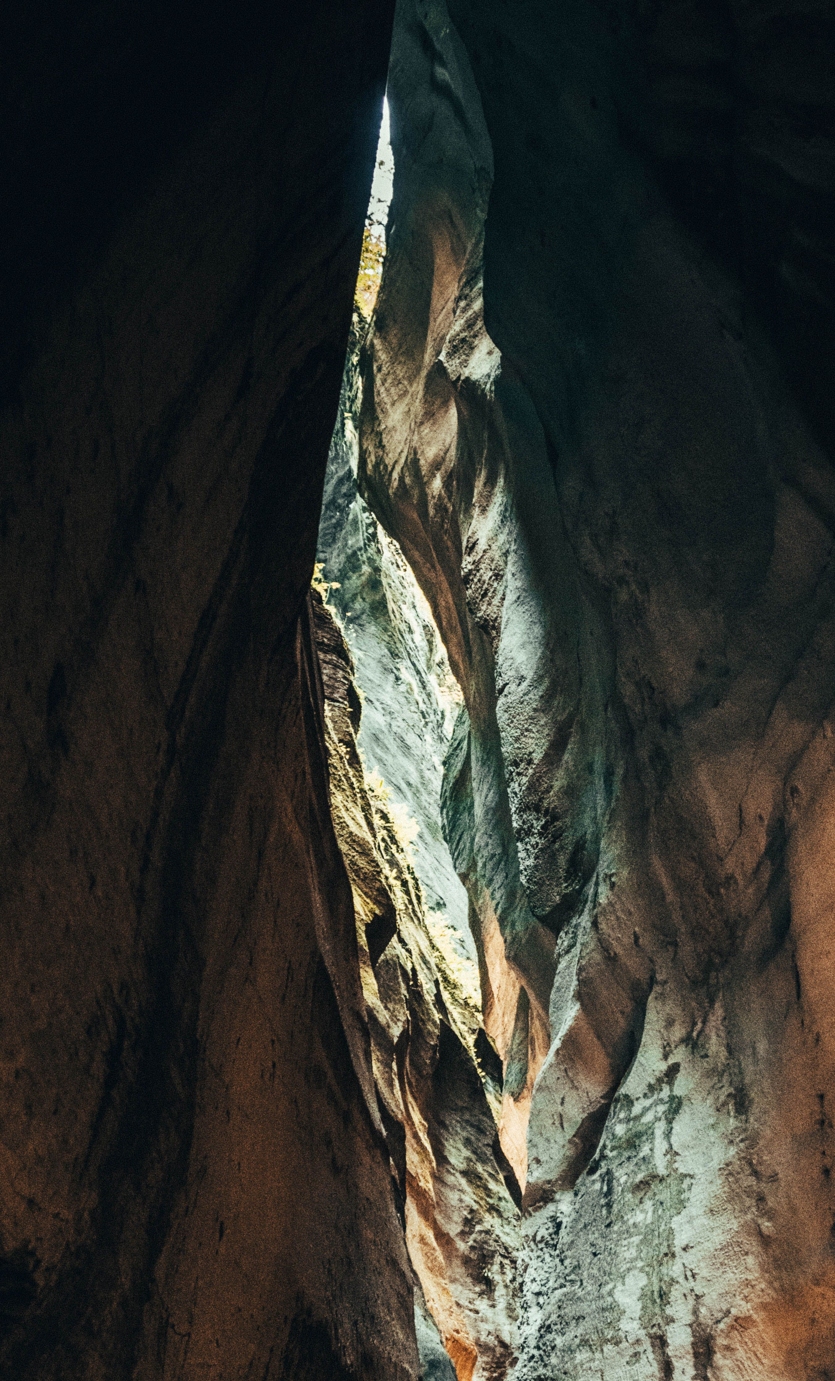 Cave Drawing Photos, Download The BEST Free Cave Drawing Stock Photos ...