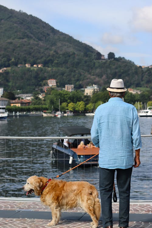 개, 관광, 남자의 무료 스톡 사진