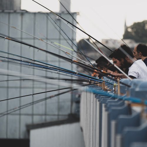 Many People Fishing on a Bridge in a City