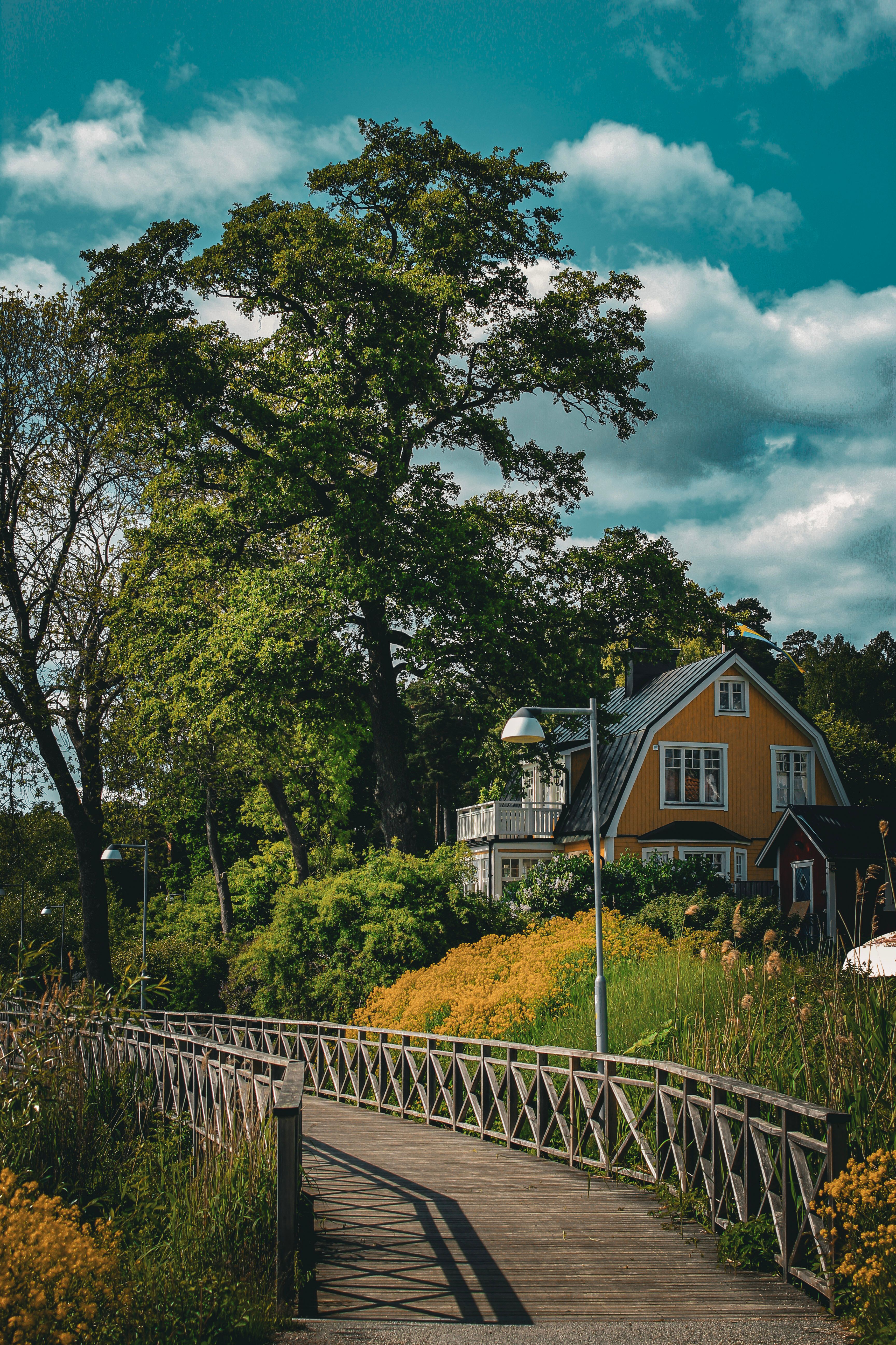 Wooden Bridge in the Countryside · Free Stock Photo