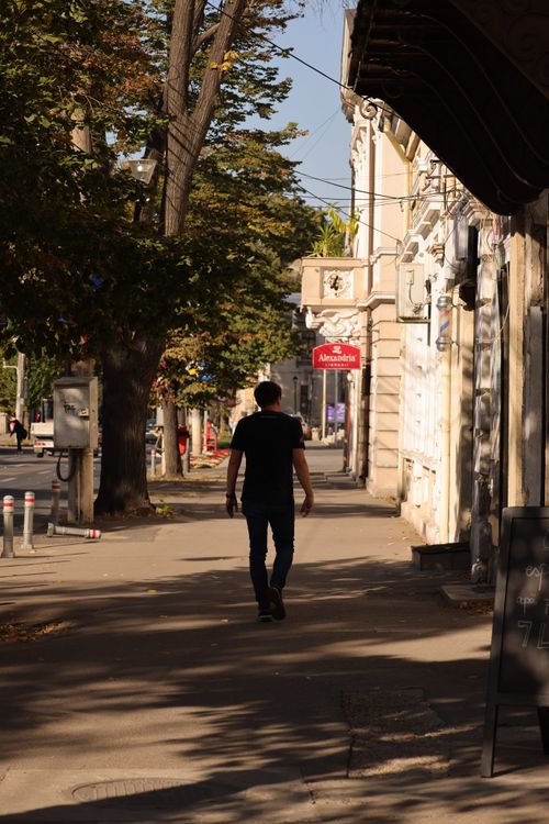 Free A man strolls along a city sidewalk lined with trees and buildings on a sunny day. Stock Photo