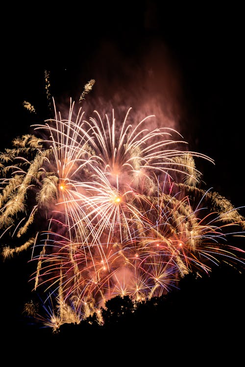 A Bright Firework Display at Night 