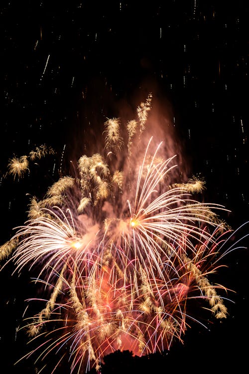 A Bright Firework Display at Night 