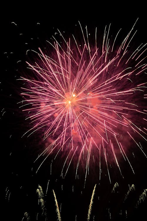 A Bright Firework Display at Night 