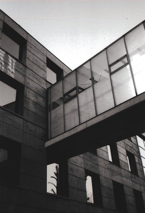 Foto d'estoc gratuïta de blanc i negre, edifici, façana