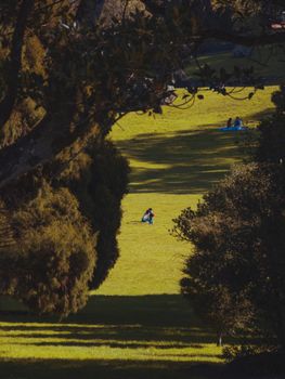 A peaceful scene with people enjoying a sunny day in a lush green park.
