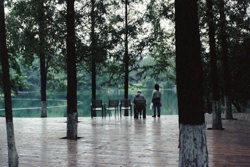 People in a Park by the Lake