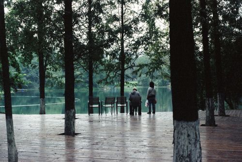 Free A tranquil lakeside park scene with chairs, trees, and mist. Stock Photo