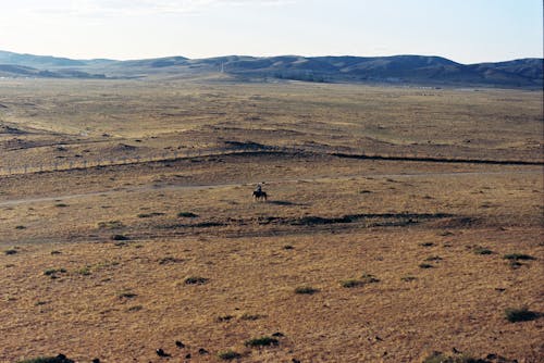 Imagine de stoc gratuită din abandonat, arid, atrăgător