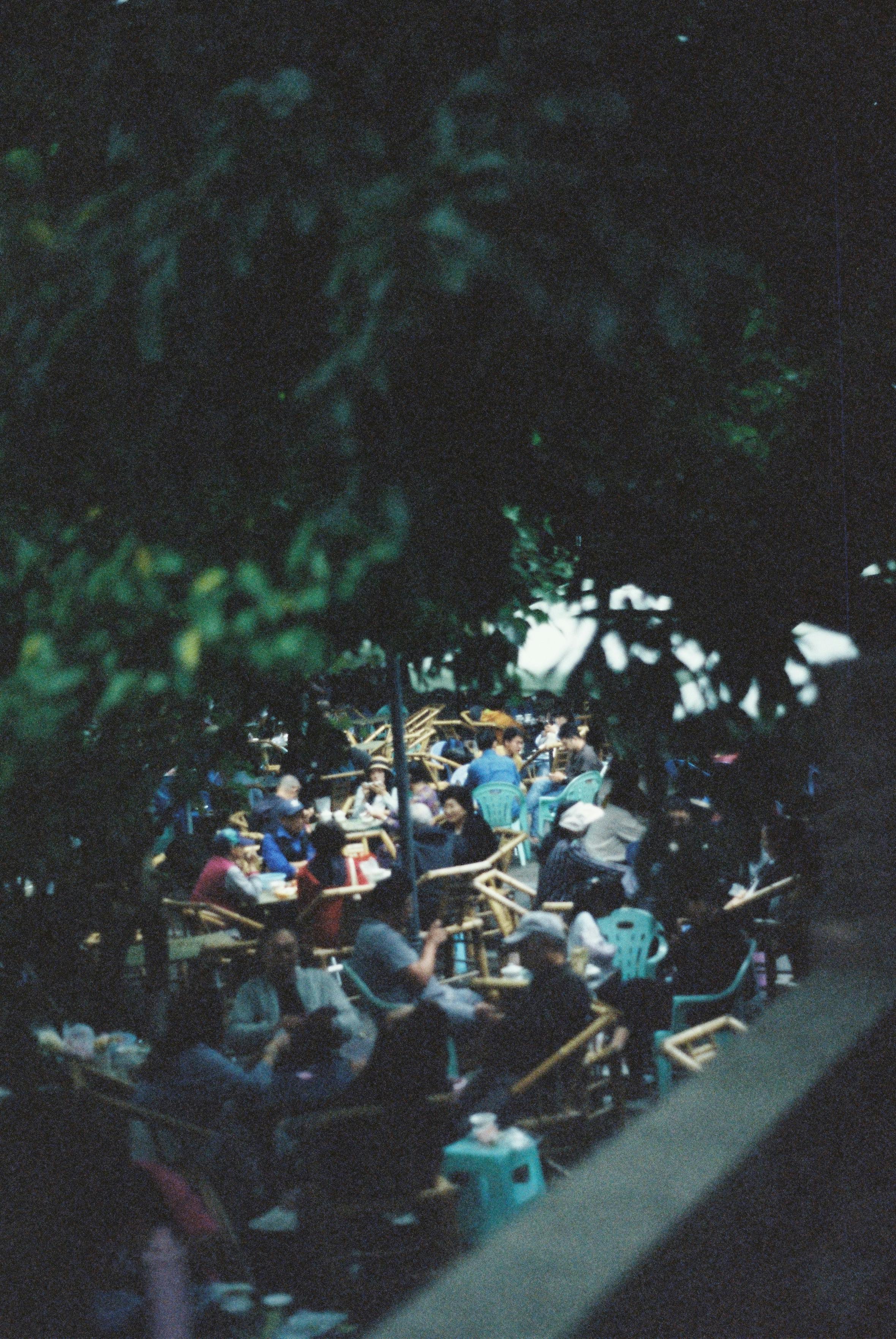 People Sitting in Chairs in a Restaurant Garden