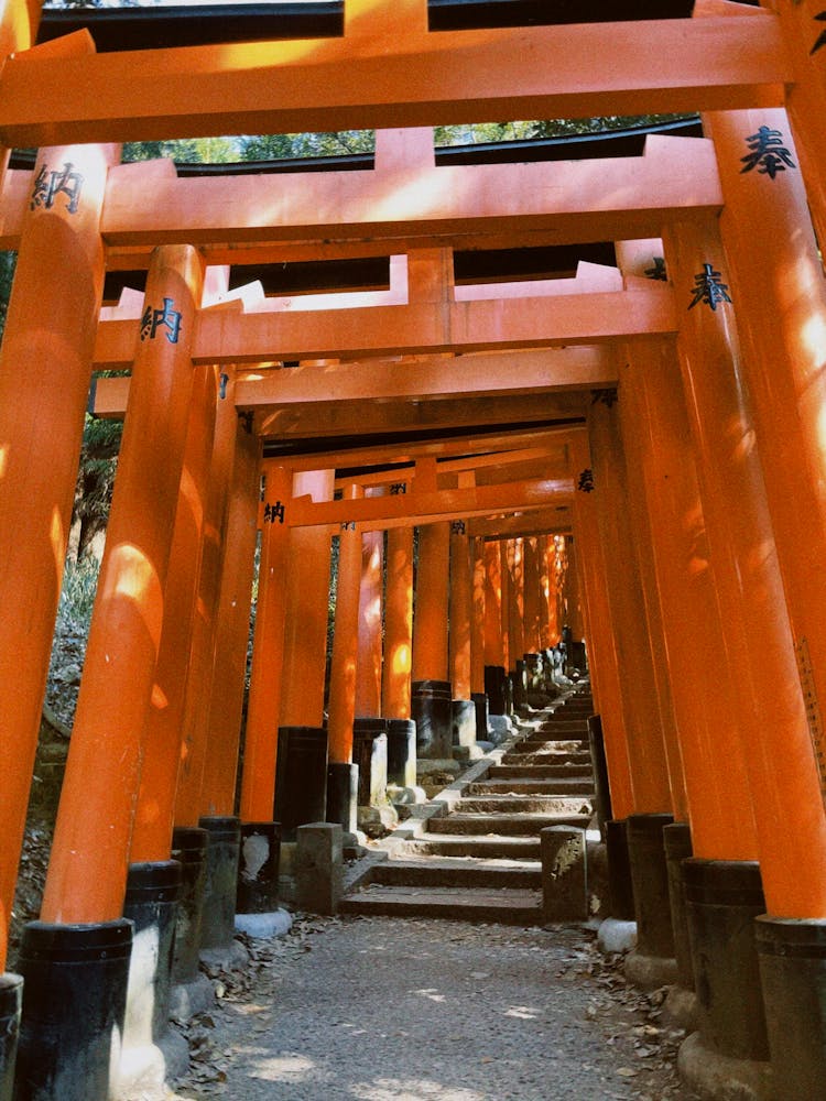 Columns In A Traditional Asian Temple