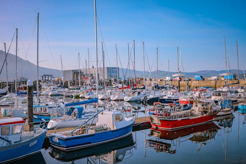 Motorboats in Marina