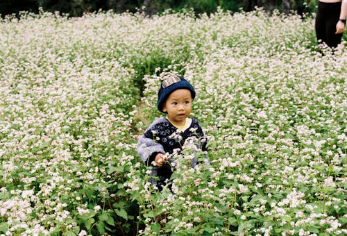 A Little Boy Walking through a Meadow