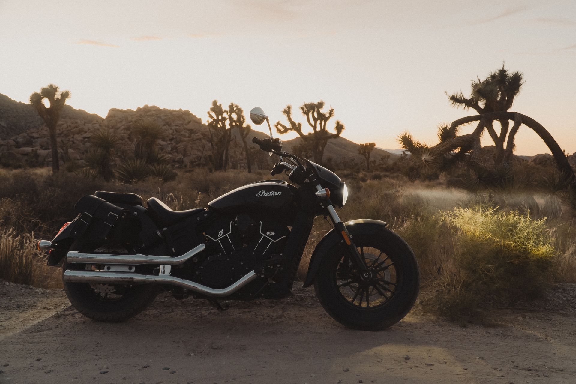 Black motorcycle parked in the scenic desert landscape of Joshua Tree at sunset, creating a classic adventure vibe.
