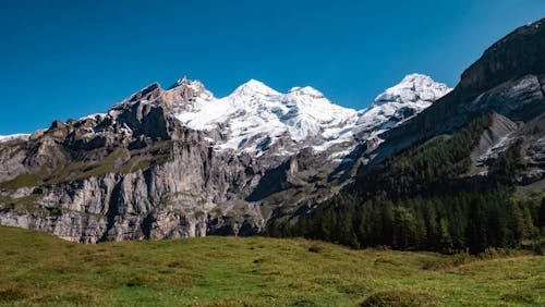 Kostenloses Stock Foto zu alps, felsen, gras