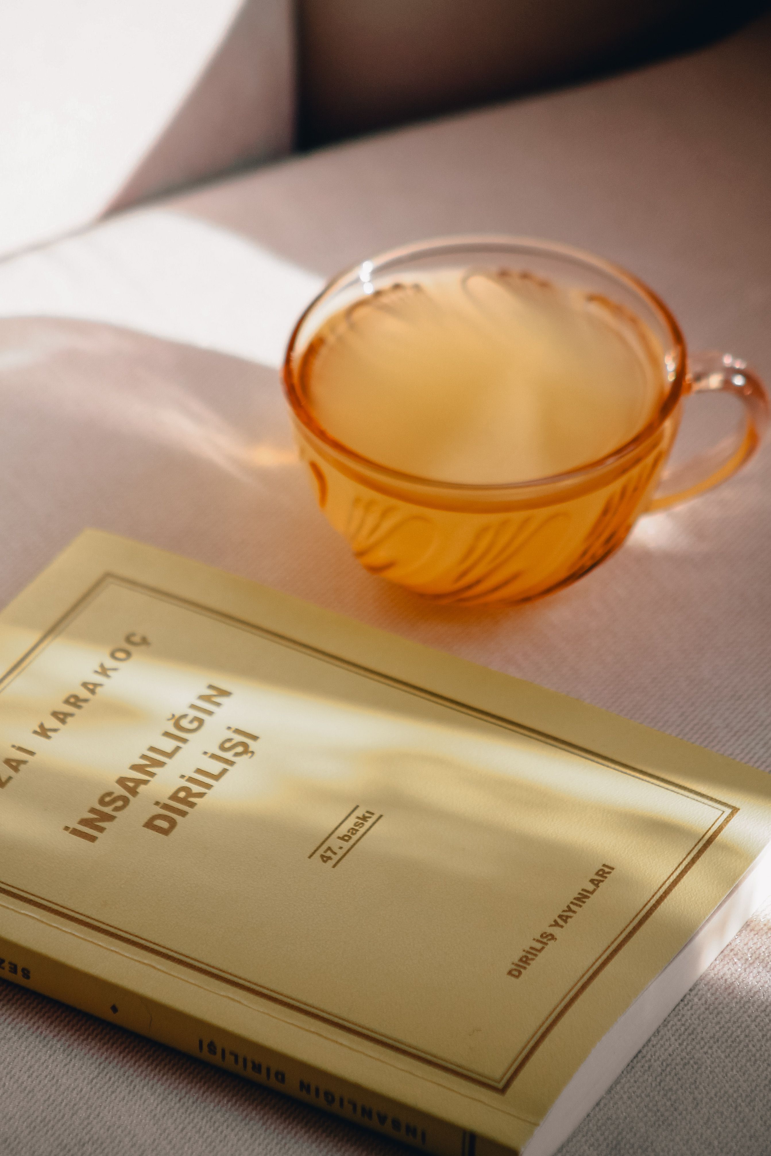 A warm cup of tea beside a book in soft sunlight, creating a cozy reading ambiance.