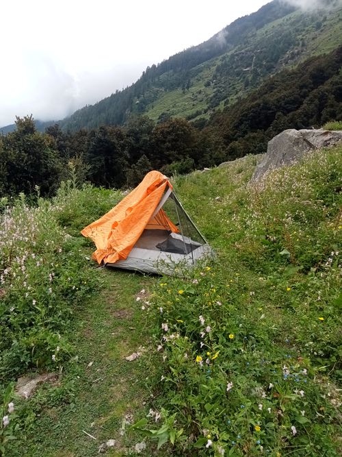 Free A lone tent in a picturesque meadow surrounded by lush mountains and wildflowers. Stock Photo