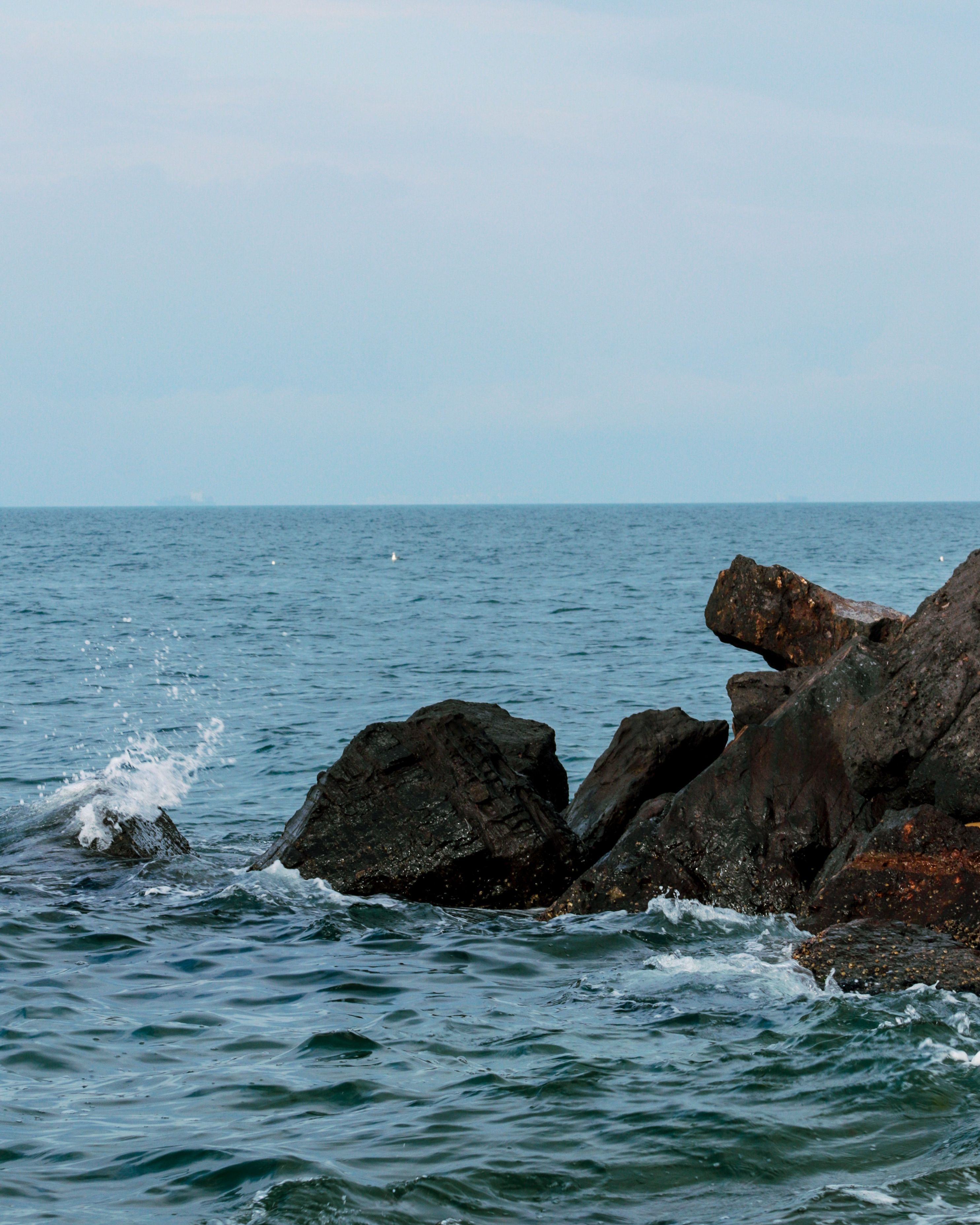 Wet Rocks of the Seashore · Free Stock Photo