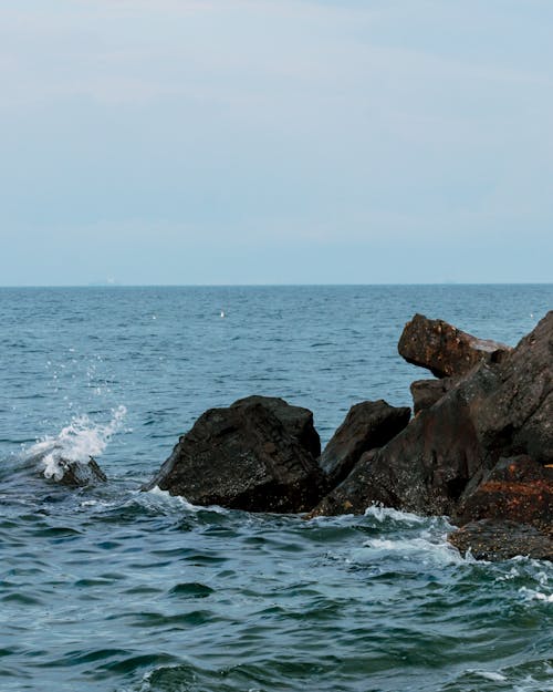 Foto stok gratis basah, batu, gelombang