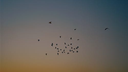 Free stock photo of azure, evening sun, heaven