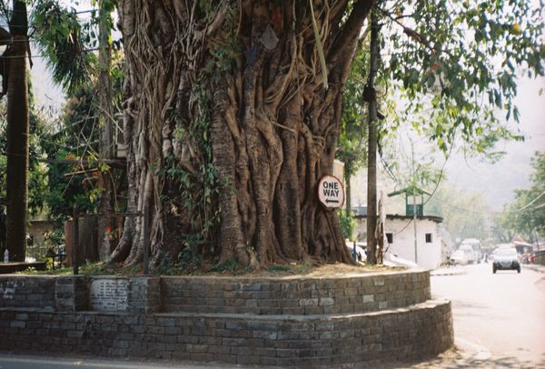 Private Car Transfer to Pokhara
