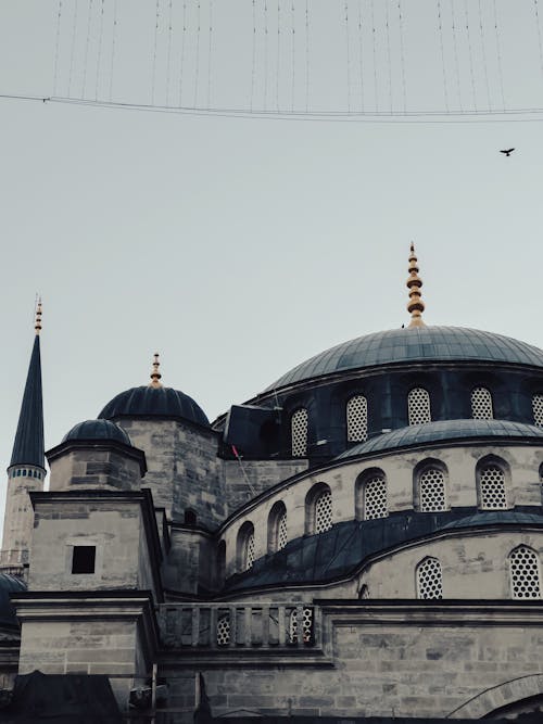 Dome of a Mosque in Istanbul