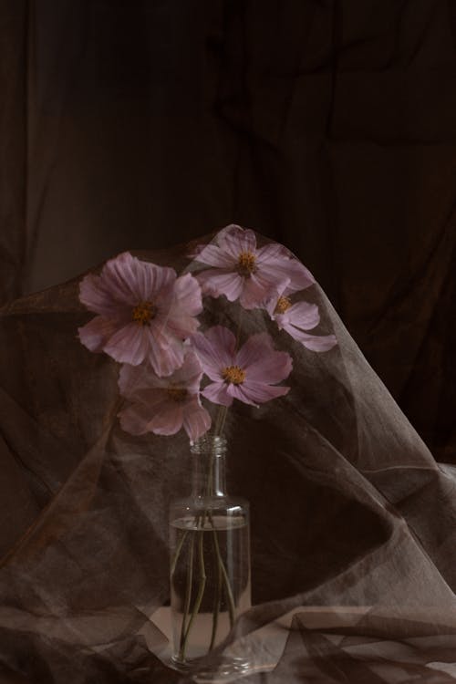 Foto profissional grátis de água, flores, frasco