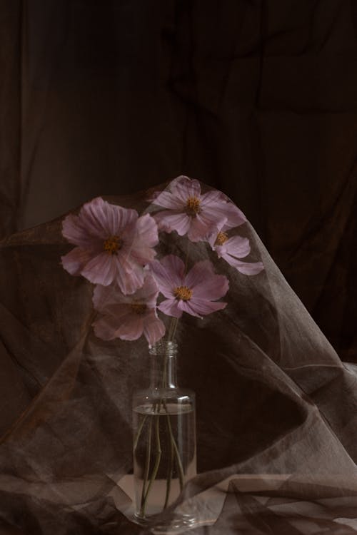 Purple Flowers in Bottle