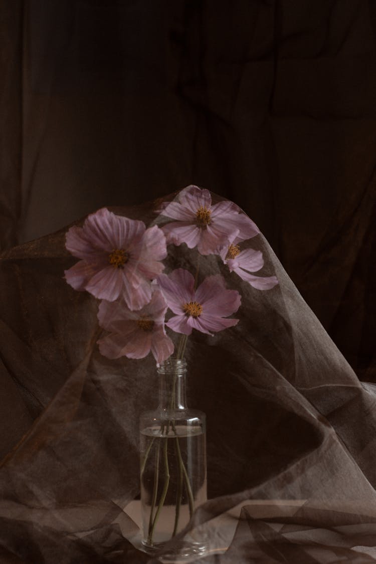 Purple Flowers In Bottle