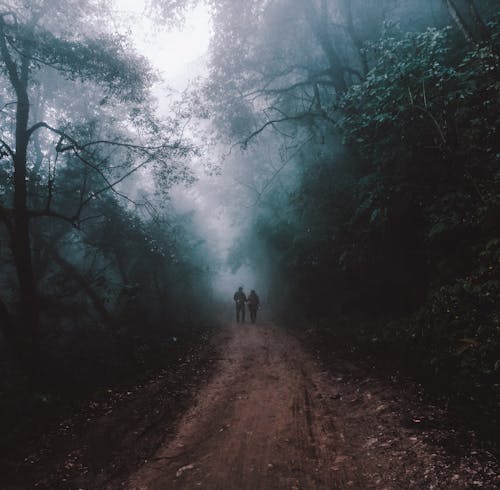 People Walking on a Dirt Road Through a Fog-covered Forest
