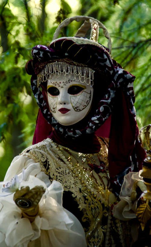 Foto d'estoc gratuïta de carnaval, disfressa, dona