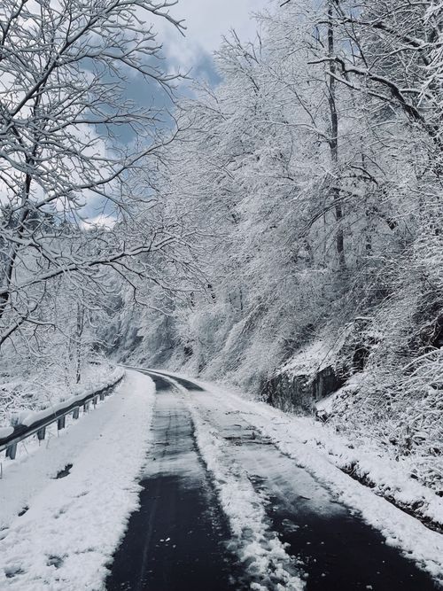Free A serene snow-covered road curves through a wintery forest in Tennessee. Stock Photo