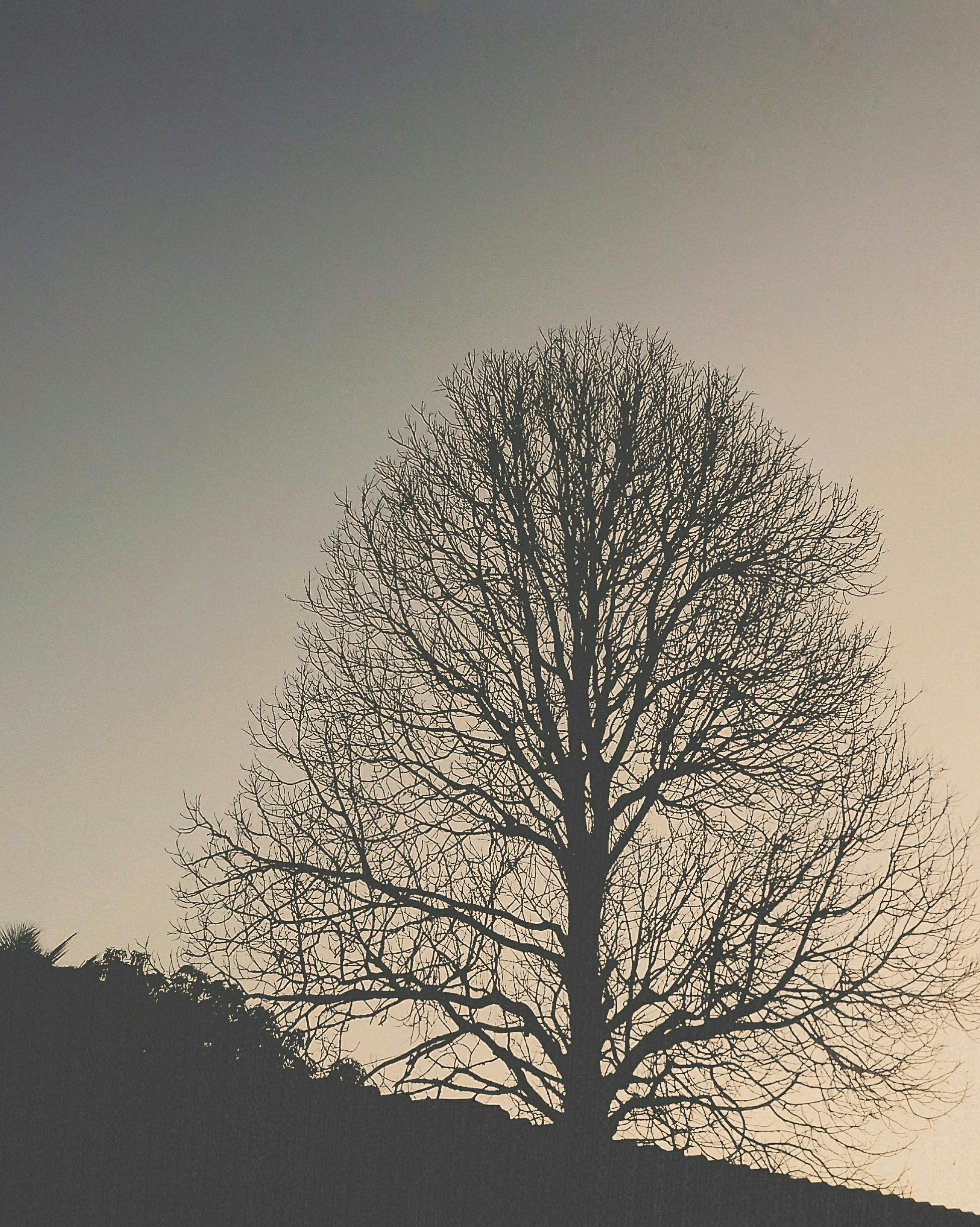 Free stock photo from Kevin Brian · Pexels