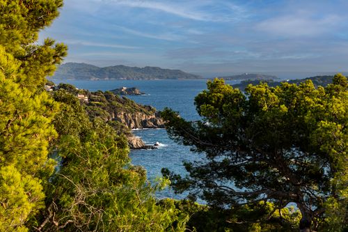Free Breathtaking view of a coastal landscape with lush greenery, rocky cliffs, and a vibrant blue sea under a sunny sky. Stock Photo
