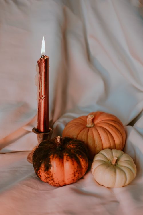 Free A cozy setup with three pumpkins and a candle, perfect for fall and Halloween decor. Stock Photo