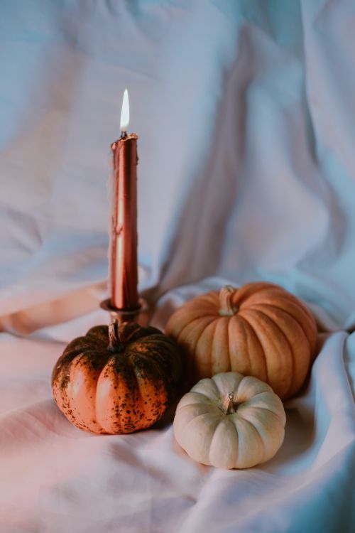 Free Elegant arrangement of pumpkins with a burning candle, creating a cozy autumn ambiance. Stock Photo