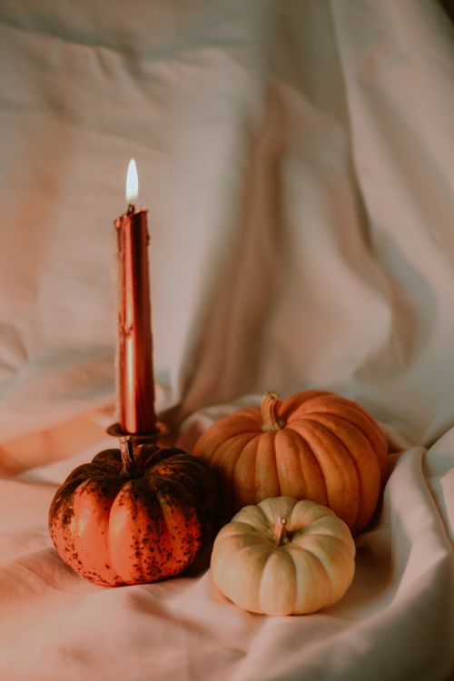 Free Warm autumn still life featuring pumpkins and a lit candle, perfect for seasonal decor. Stock Photo