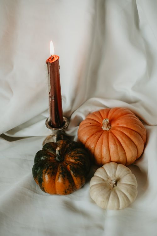 Free Elegant still life featuring pumpkins and a candle, perfect for autumn decorations and celebrations. Stock Photo